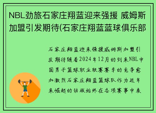 NBL劲旅石家庄翔蓝迎来强援 威姆斯加盟引发期待(石家庄翔蓝蓝球俱乐部)